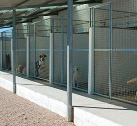 Residencia Canina y Adiestramiento Can Brutus Residencia Canina y Adiestramiento Can Brutus